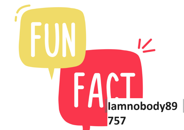 What You Need to Know About the Iamnobody89757?