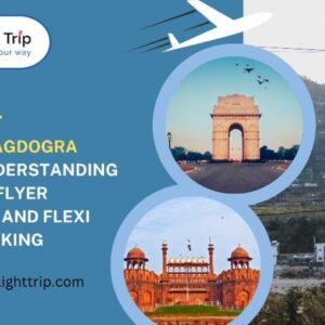 Delhi To Bagdogra Flight: Understanding Frequent Flyer Programs And Flexi Flight Booking 