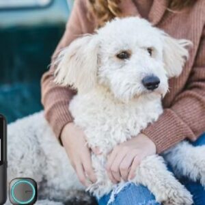 2024 Aorkuler Dog Tracker: No Subscription Fee