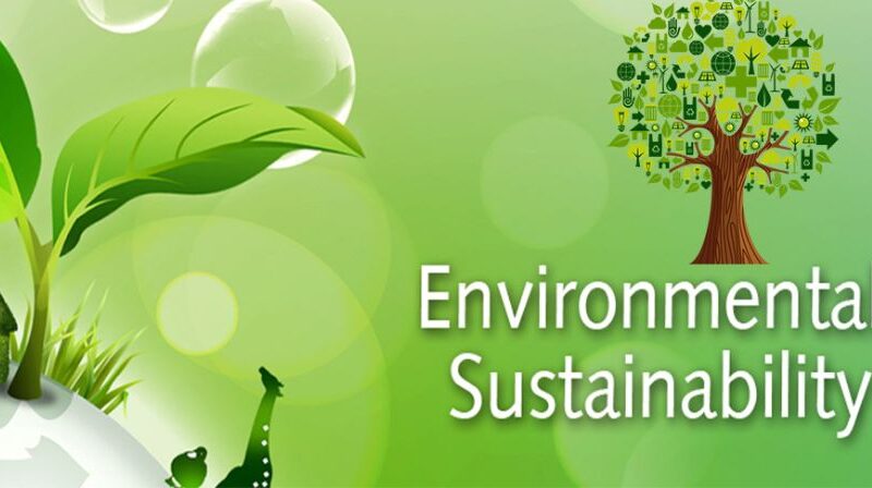 Future Proofing Your Business: Why Environmental Management Software is Key to Sustainable Growth