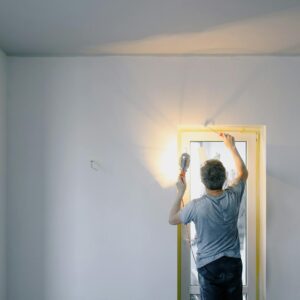 Know about the Professional Interior Painting   