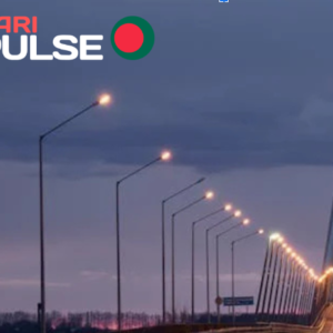 Paripulse Bangladesh Unveiled — Discover the Best Betting Site in 2024