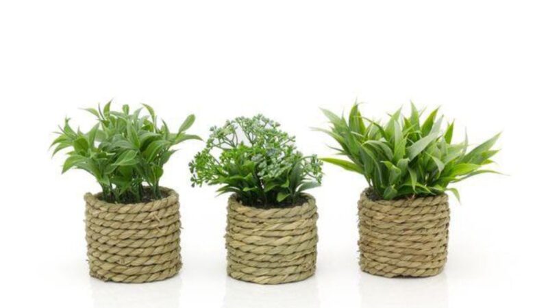 The Rise of Fake Plant Decorations: Why Evergreen Walls Are Taking Over Home Design