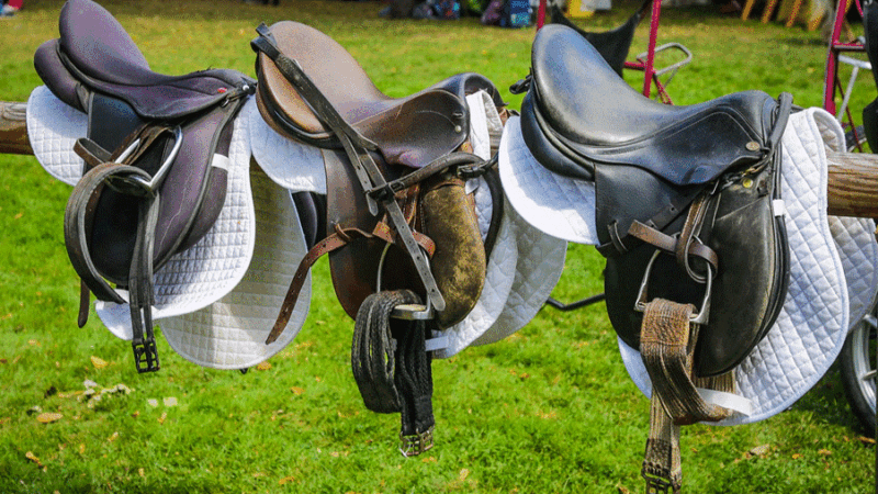 Best ergonomic horse saddles for long rides