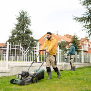 Expert Lawn Care Calgary: Your Guide to a Lush, Green Lawn