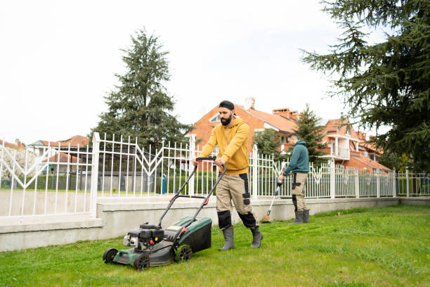 Expert Lawn Care Calgary: Your Guide to a Lush, Green Lawn