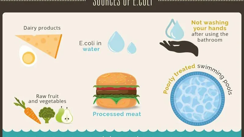 Protecting Your Family from Escherichia coli O26: Practical Tips for Food Safety