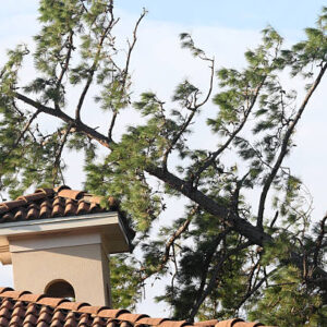 How a Storm Damage Repair Company in Little Rock Can Restore Your Roof Quickly