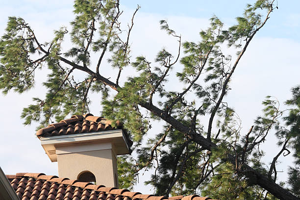 How a Storm Damage Repair Company in Little Rock Can Restore Your Roof Quickly