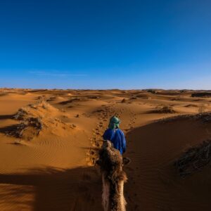 Your Ultimate Guide to Sightseeing Tours in Morocco’s Most Beautiful Cities