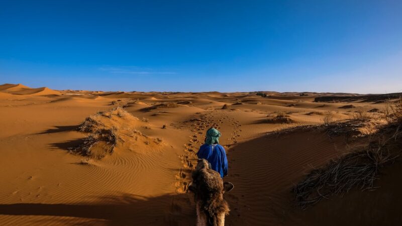 Your Ultimate Guide to Sightseeing Tours in Morocco’s Most Beautiful Cities