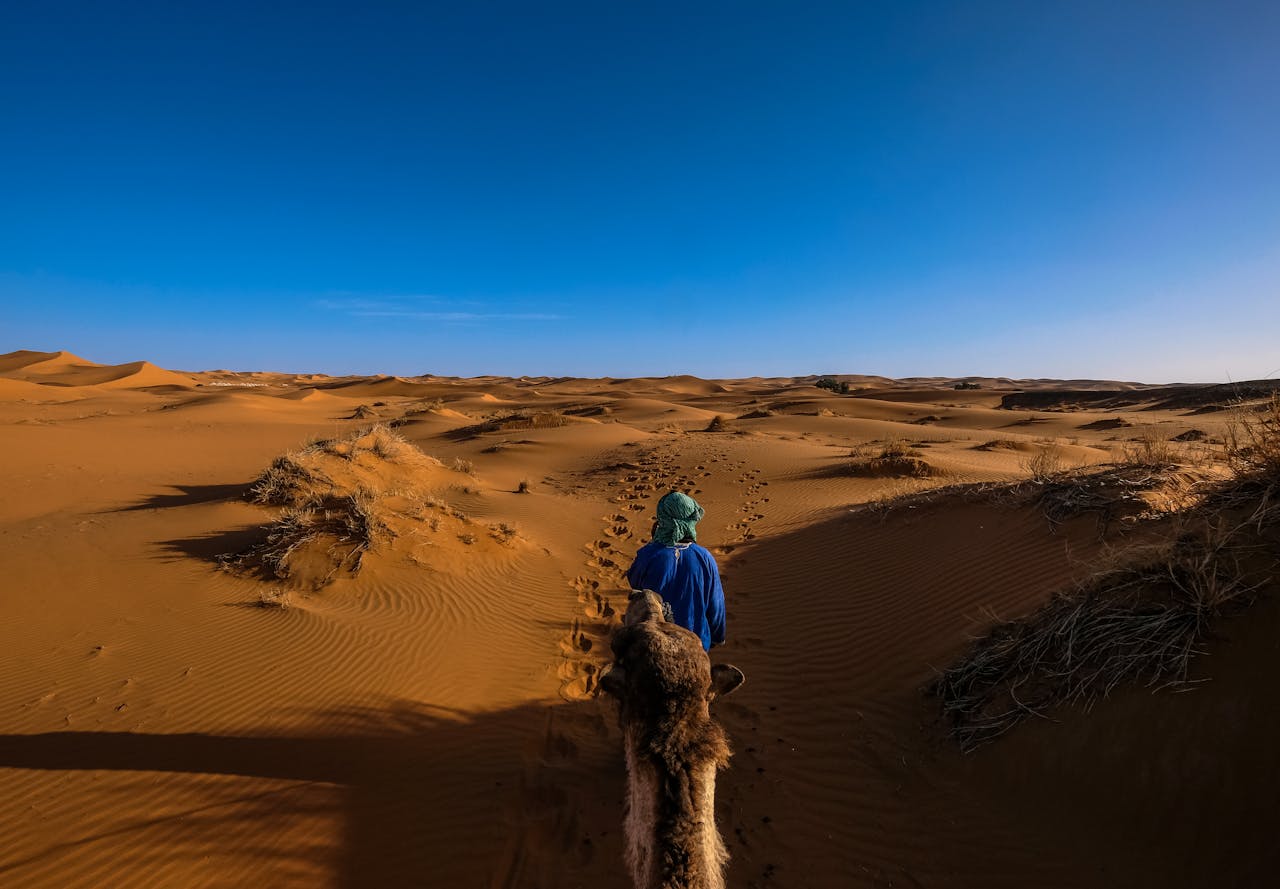 Your Ultimate Guide to Sightseeing Tours in Morocco’s Most Beautiful Cities