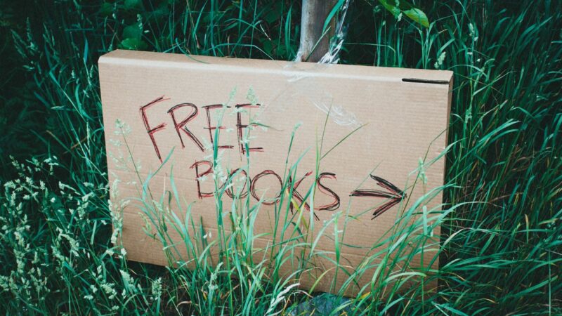 The Power Of First Lines In Captivating Readers